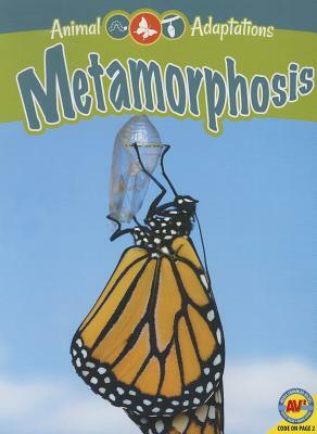 Metamorphosis by Megan Kopp