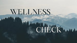 Wellness Check by Darcy Coates