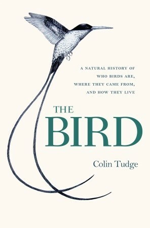 The Bird: A Natural History of Who Birds Are, Where They Came From & How They Live by Colin Tudge
