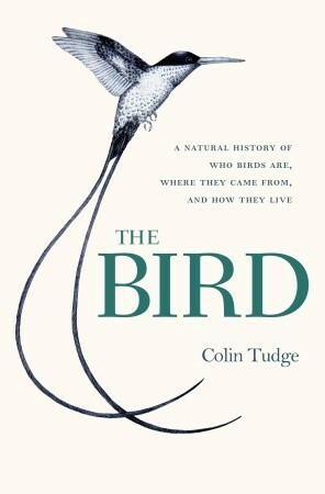 The Bird: A Natural History of Who Birds Are, Where They Came From & How They Live by Colin Tudge