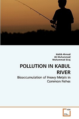 Pollution in Kabul River by Muhammad Siraj, Habib Ahmad, Ali Muhammad