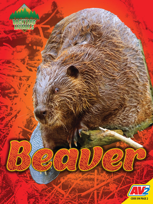 Beaver by Blaine Wiseman