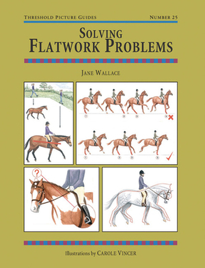 Solving Flatwork Problems by Jane Wallace