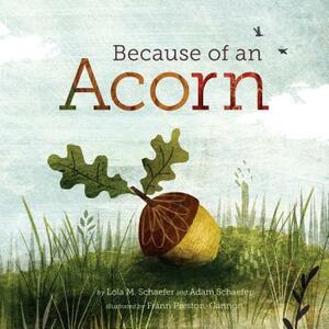 Because of an Acorn by Lola M. Schaefer, Adam Schaefer