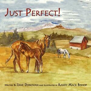 Just Perfect! by Jane Donovan