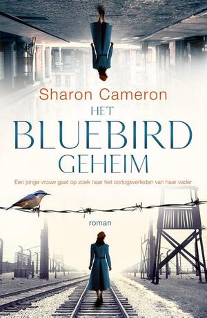 Het Bluebirdgeheim by Sharon Cameron
