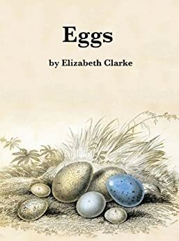 Eggs by Elizabeth Clarke