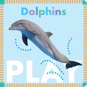 Dolphins Play by Rebecca Glaser