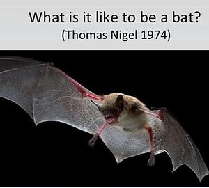 What is it like to be a bat? by Thomas Nagel