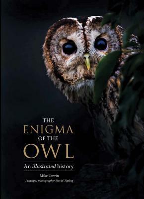 The Enigma of the Owl: An Illustrated Natural History by David Tipling, Mike Unwin