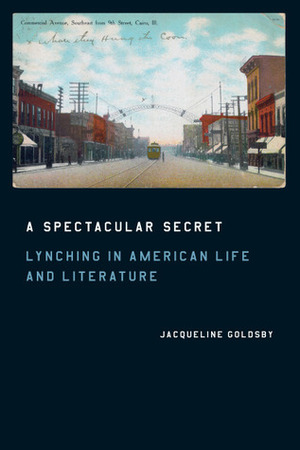 A Spectacular Secret: Lynching in American Life and Literature by Jacqueline Goldsby