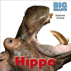 Hippo by Stephanie Turnbull