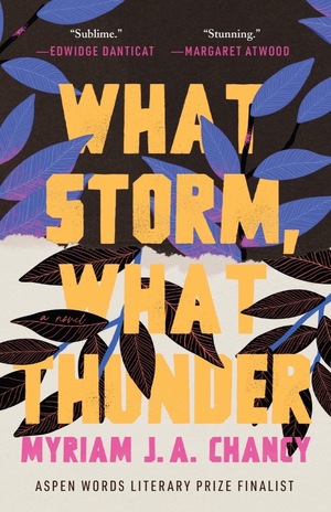 What Storm, What Thunder by Myriam J.A. Chancy