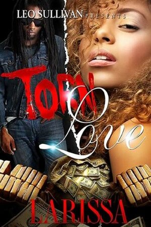Torn Love by Larissa