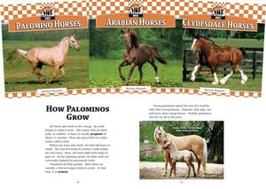 Checkerboard Animal Library: Horses, Set 1 by BreAnn Rumsch