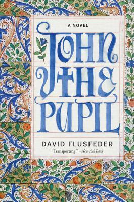 John the Pupil by David Flusfeder