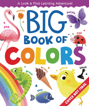 Big Book of Colors by Margarita Kukhtina, Clever Publishing