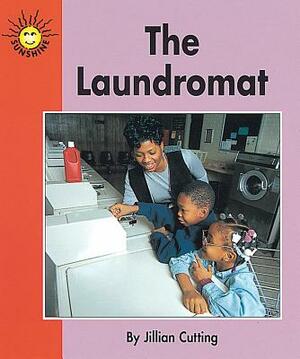 The Laundromat by McGraw