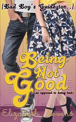 [Bad Boy's Guide to...] Being Not Good by Elizabeth Stevens