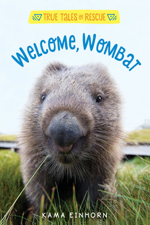 Welcome, Wombat by Kama Einhorn