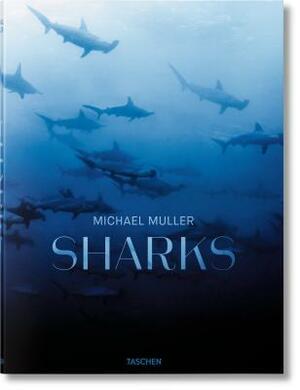 Michael Muller: Sharks, Face-To-Face with the Ocean's Endangered Predator by Alison Kock, Philippe Cousteau, Arty Nelson, Michael Müeller
