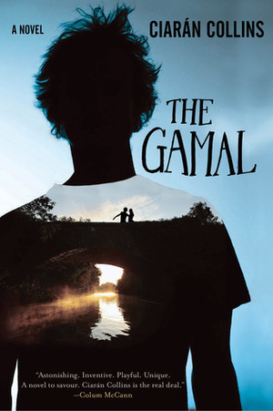 The Gamal by Ciarán Collins