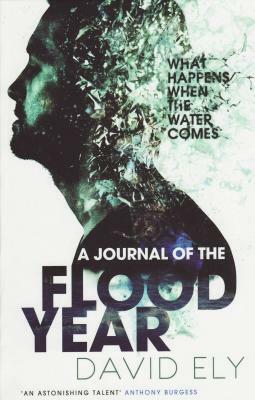 A Journal of the Flood Year by David Ely