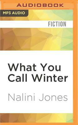 What You Call Winter: Stories by Nalini Jones