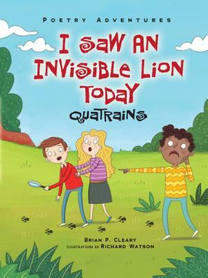 I Saw an Invisible Lion Today: Quatrains by Brian P. Cleary