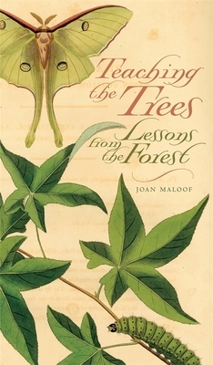 Teaching the Trees: Lessons from the Forest by Joan Maloof