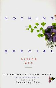 Nothing Special by Steven A. Smith, Charlotte J. Beck