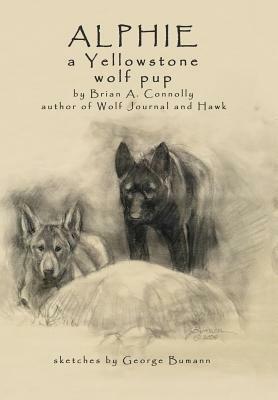 Alphie, a Yellowstone Wolf Pup by Brian a. Connolly