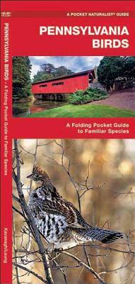 Mexico Birds: A Folding Pocket Guide to Familiar Species by James Kavanagh