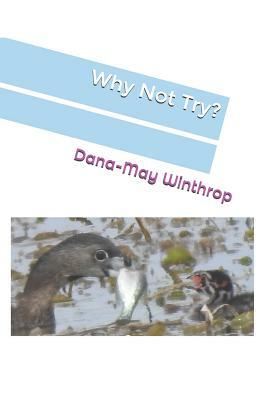 Why Not Try? by Dana-May Winthrop