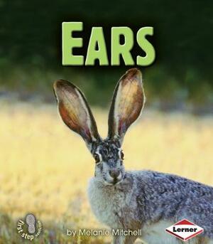 Ears by Melanie Mitchell