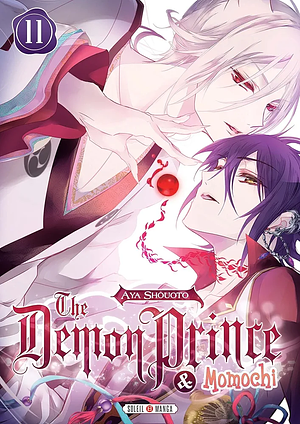 The Demon Prince and Momochi T11 by Aya Shouoto