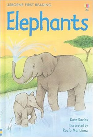 Elephants by Kate Davies