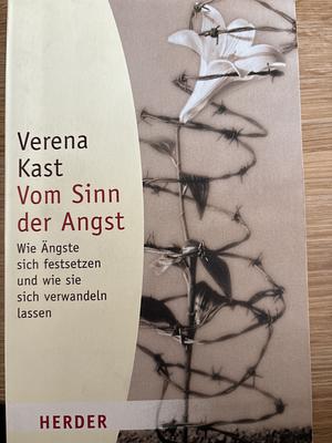 Vom Sinn Der Angst by Verena Kast