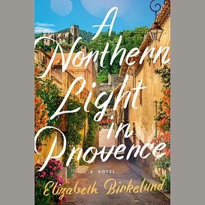 A Northern Light in Provence: A Novel by Elizabeth Birkelund