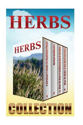 Herbs: Medicinal Plants And Culinary Herbs by Julia Johnson
