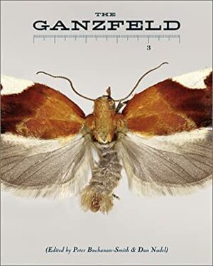 The Ganzfeld #3 by Julie Lasky, Dan Nadel