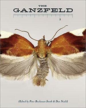 The Ganzfeld #3 by Dan Nadel, Julie Lasky