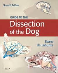 Guide to the Dissection if the Dog by Howard E. Evans, Alexander de Lahunta
