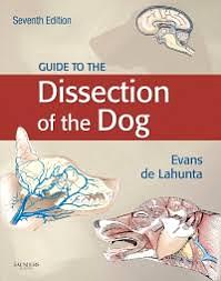 Guide to the Dissection if the Dog by Alexander de Lahunta, Howard E. Evans