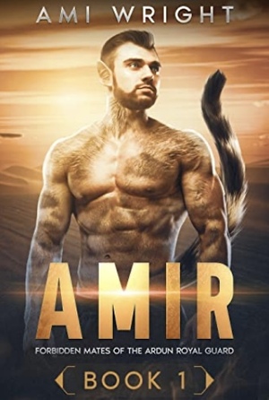 Amir by Ami Wright