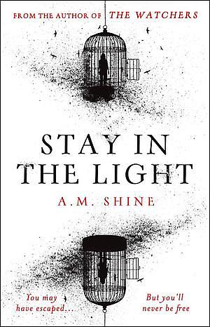 Stay in the Light by A.M. Shine