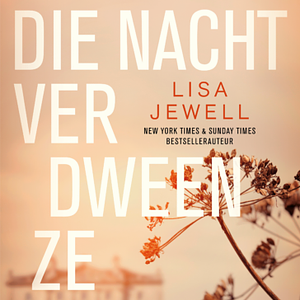 Die nacht verdween ze by Lisa Jewell