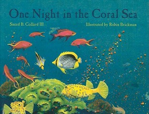 One Night in the Coral Sea by Sneed B. Collard III