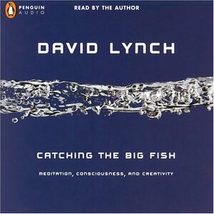 Catching the Big Fish: Meditation, Consciousness, and Creativity by David Lynch