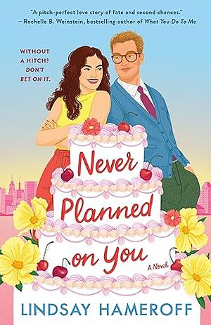 Never Planned on You by Lindsay Hameroff